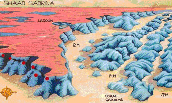 SHAAB_SABRINA