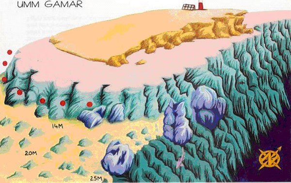 UMM_GAMAR