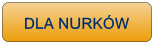 nurkowanie Hurghada